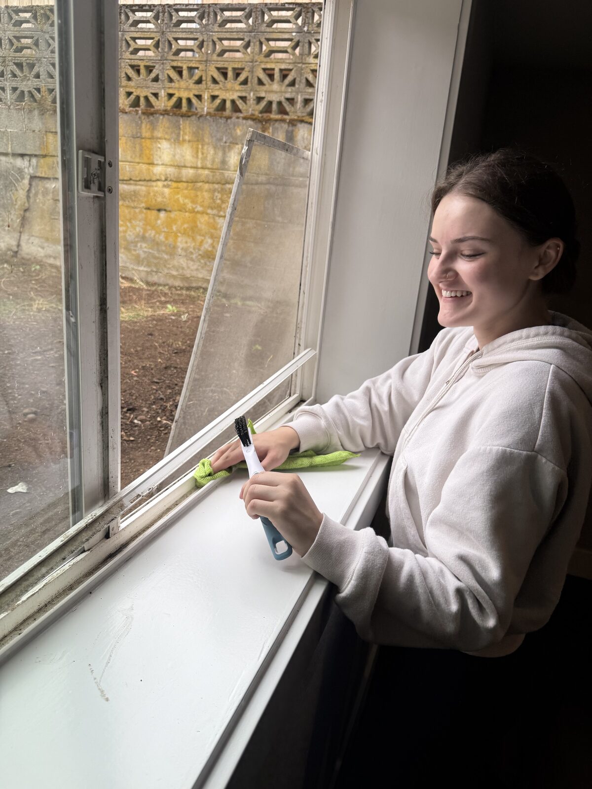 Detail cleaning a window track